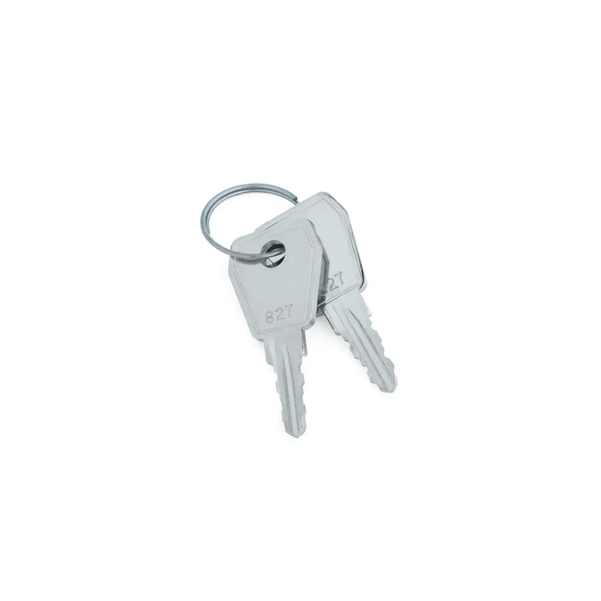 WindowMaster WSA 441 Keys for WSC 104/204/KP/BZ for the control unit